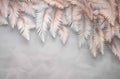 Rose Beige Feather Wallpaper | Elegant Feather Design for Modern Interiors YD-02409