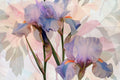 Soft Peony Wallpaper, Watercolor Floral Wall Mural for Bedrooms YF-04009