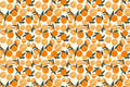Vibrant Orange Pattern Wallpaper  Watercolor Fruit Art Wall Mural YDT-02546